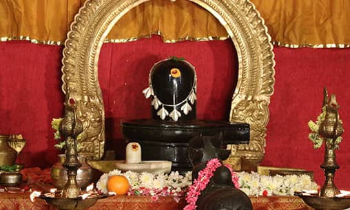 Dhara (Special Hydration Pooja) to Shiva for 4 Mondays