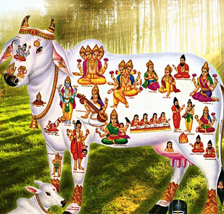 Divine Cow Goddess Kamadhenu | Sacred Bull Nandi | Spiritual Protection ...